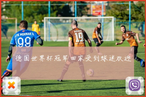 德国世界杯冠军回家受到球迷欢迎
