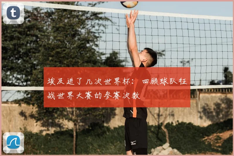 埃及进了几次世界杯:回顾球队征战世界大赛的参赛次数